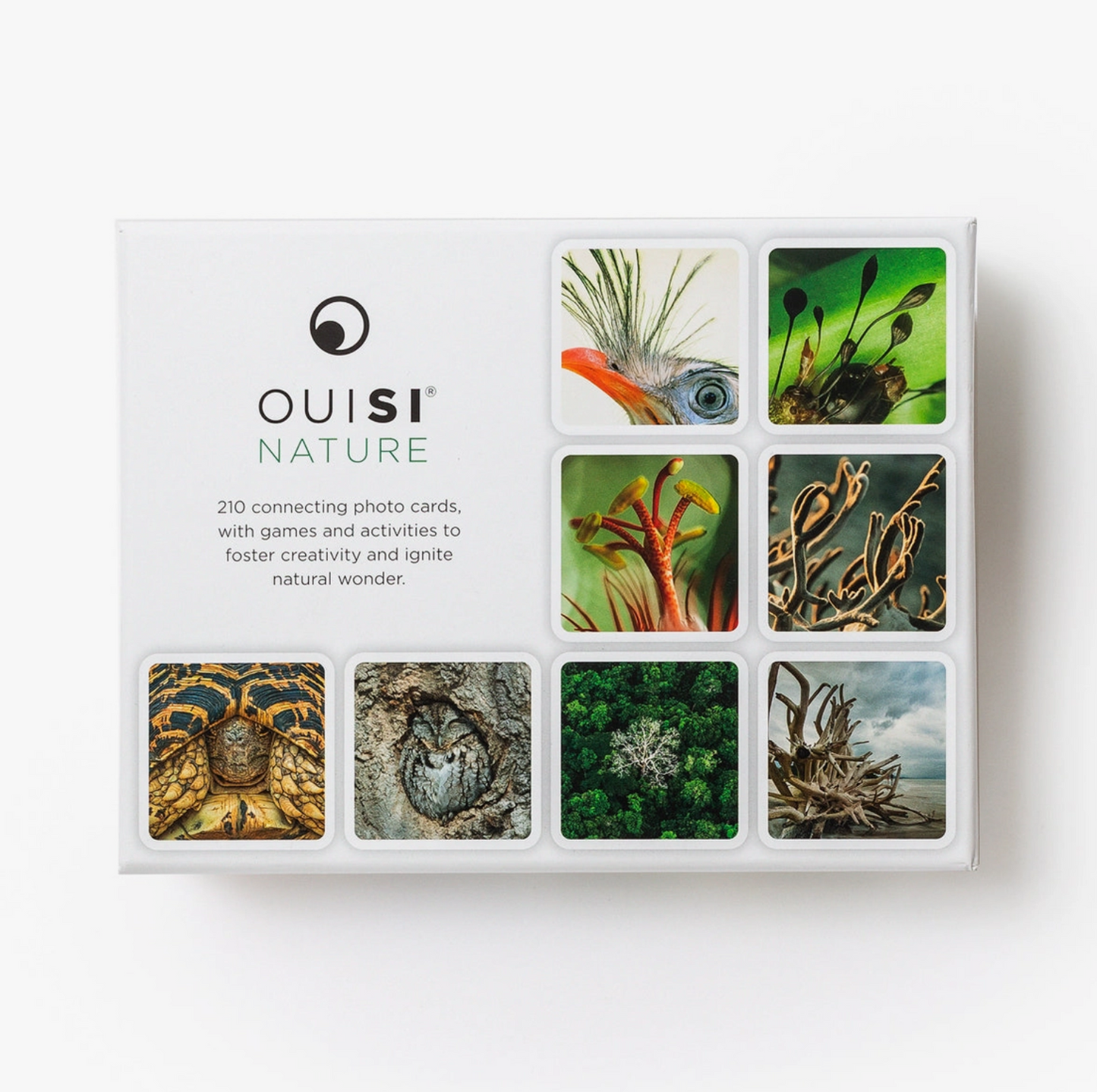 OuiSi: Games of Visual Connection