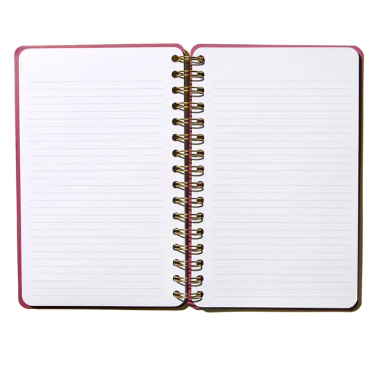 A look inside one journal.