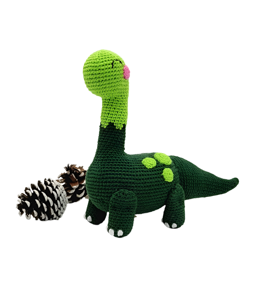 Green Crotchet Dinosaur.