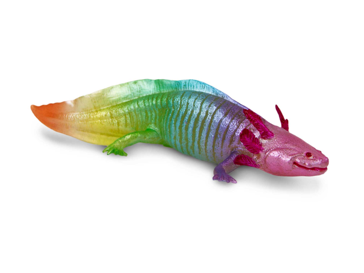 Multicolored axolotl toy