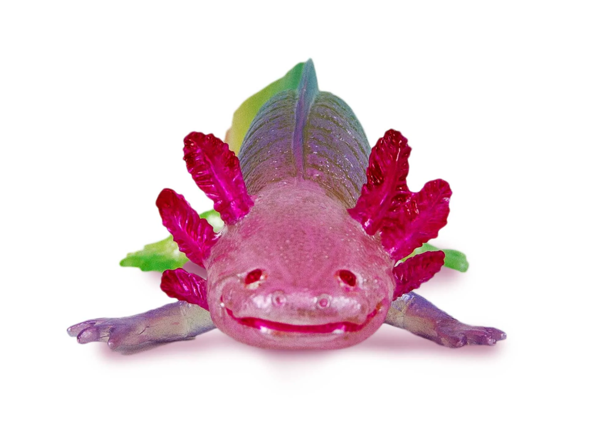 Colorful axolotl toy