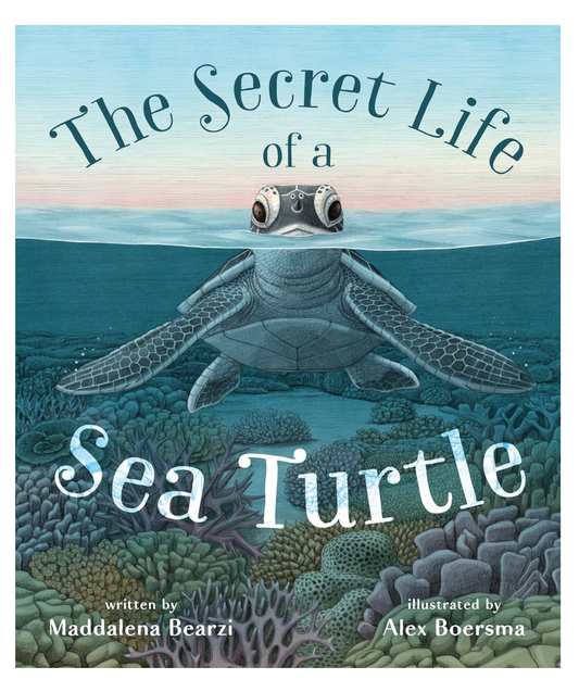 Book 'The Secret Life of a Sea Turtle' by Maddalena Bearzi and Alex Boersma