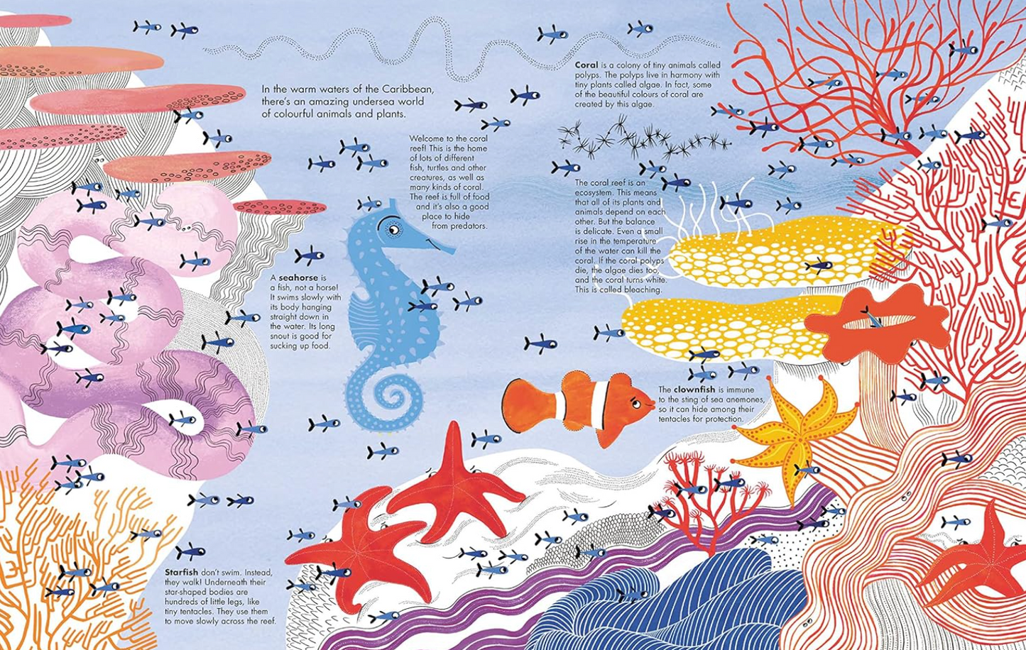 1001 Fish