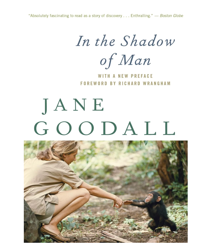 Book cover of 'In the Shadow of Man' by Jane Goodall with a photo of her interacting with a chimpanzee.