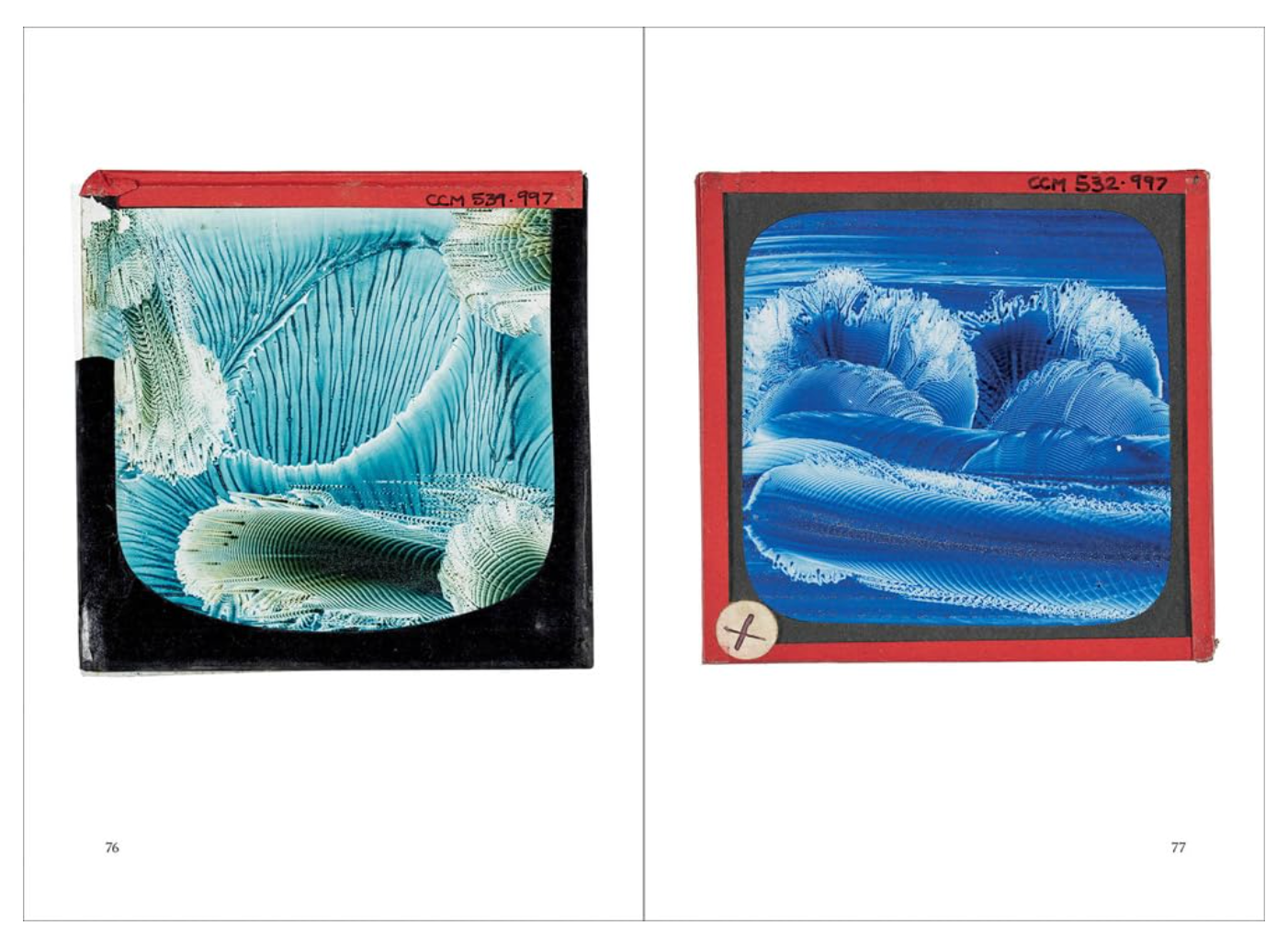 Two images of abstraction under a microscope with red and black borders.