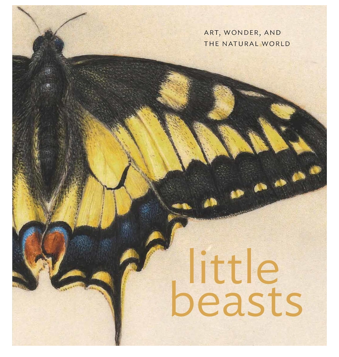 Book cover of 'little beasts' with a butterfly illustration on a beige background