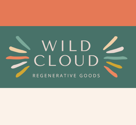 Wild Cloud Logo.