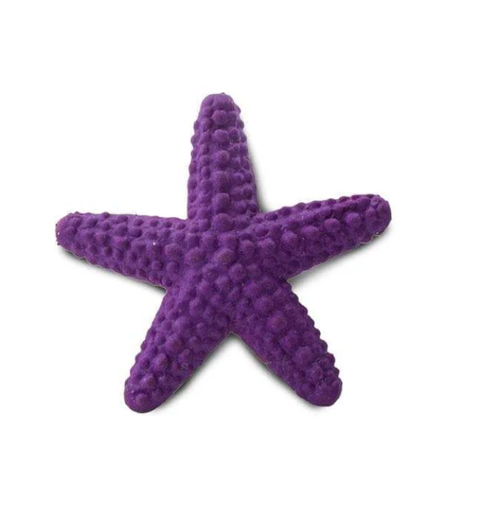 Mini Water Creatures