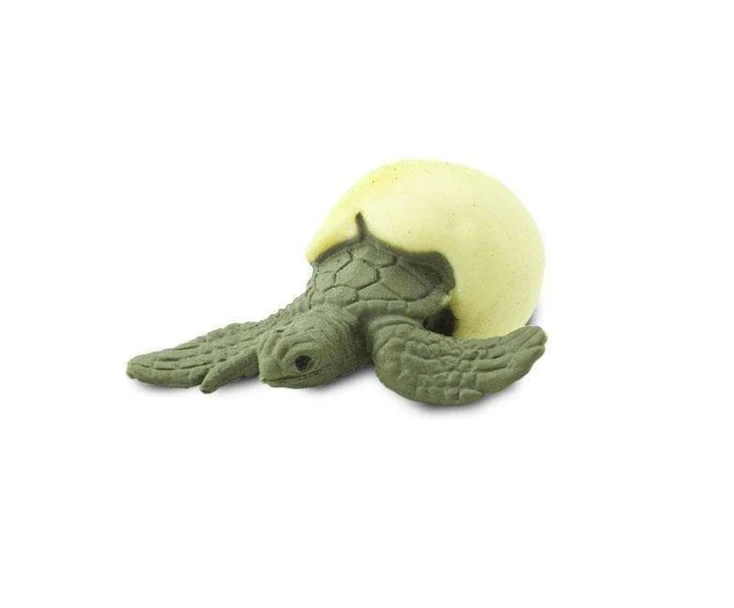Mini Water Creatures