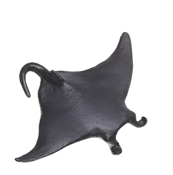 Small ray fish toy