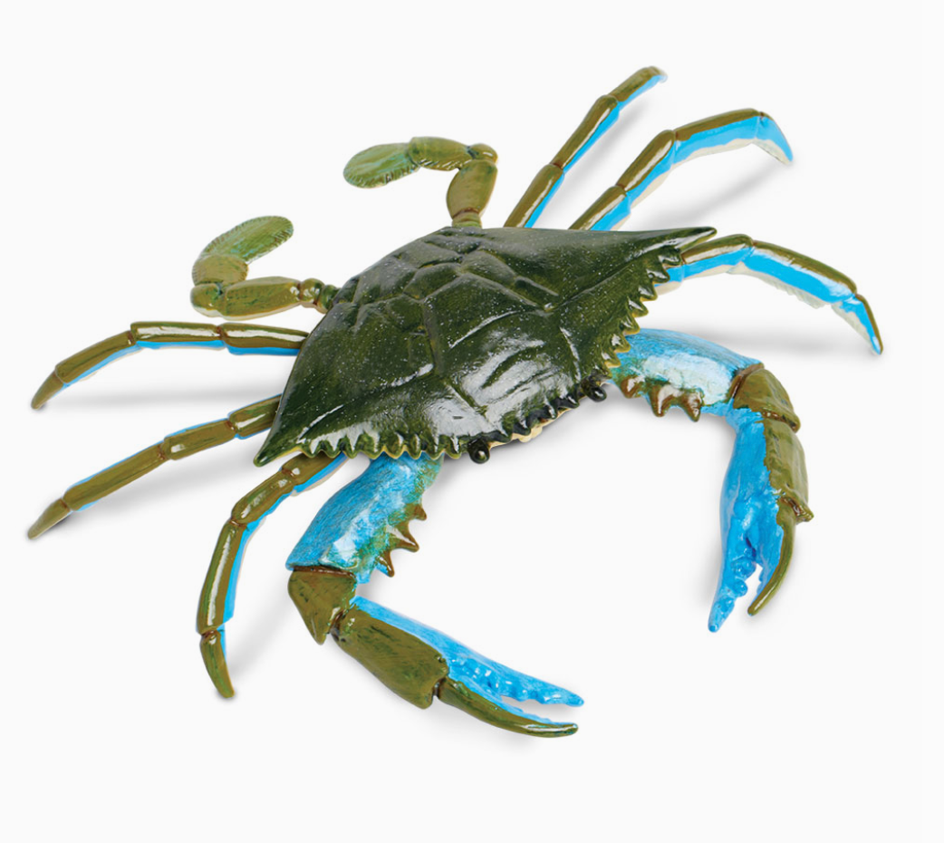 Mini Water Creatures