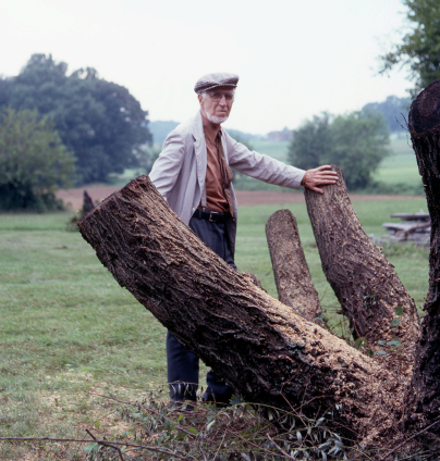 Man standing next to large tree stumps in a field
