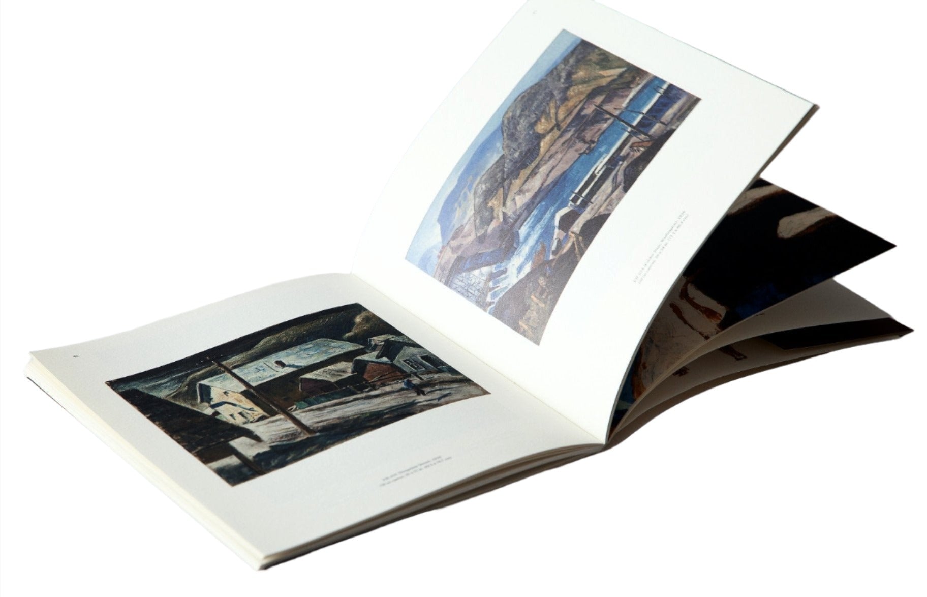 Photograph of ‘Clyfford Still: The Colville Reservation and Beyond, 1934-1939’ flipping through pages.