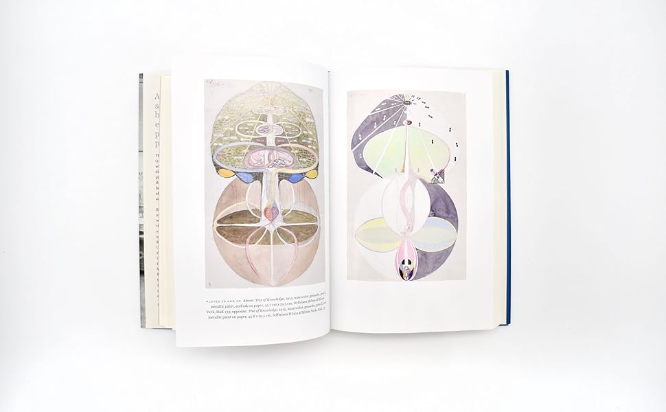 An open art book displayed against a clean white background, showing two illustrated spread pages with abstract botanical or mushroom-like drawings in soft pastel tones.