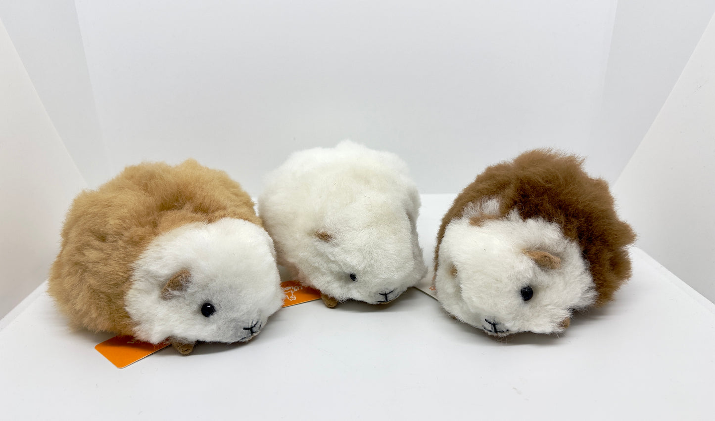 Three different Baby Alpaca Guinea Pig variations. 