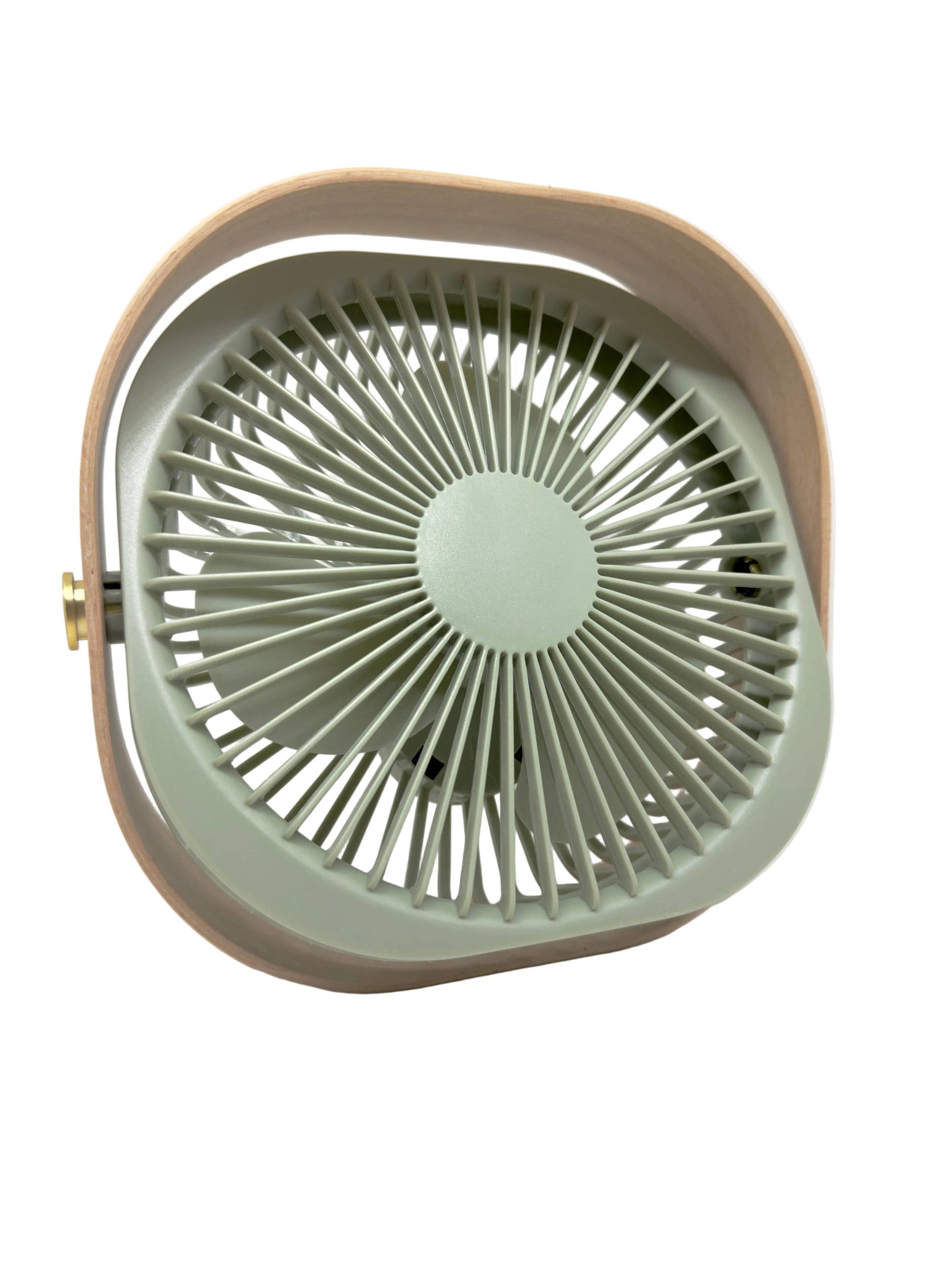 A retro-style portable fan with a sage green front grille and a beige outer frame, shown against a plain white background.