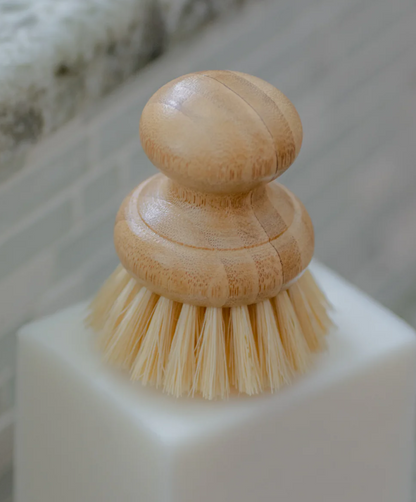 Close-up photo of the Casa Agave Dish Brush.