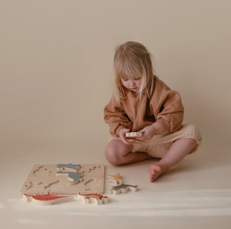 Child playing with Dinosaur Wooden Puzzle.