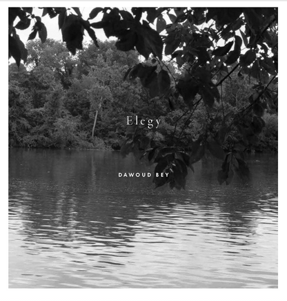 Dawoud Bey: Elegy