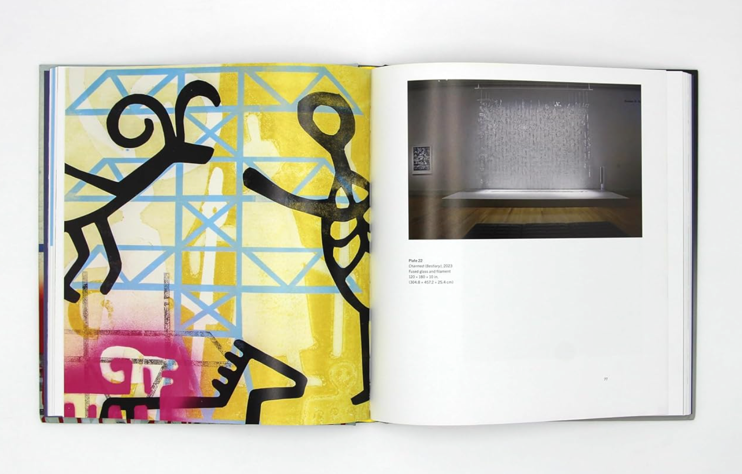 A look inside of the book 'Earth, Water, Sky' by Joe Feddersen 