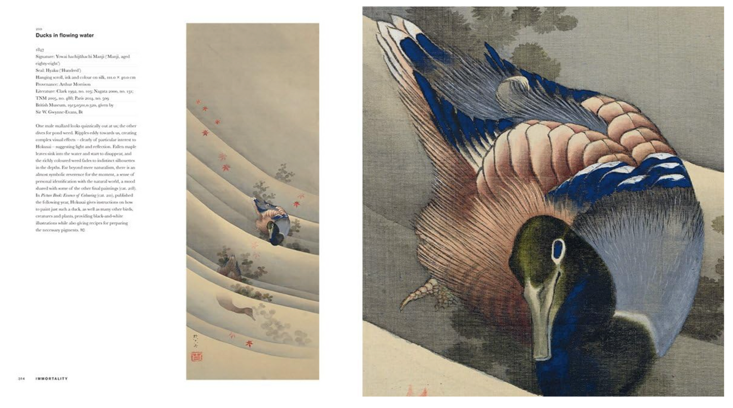 Artistic depiction of a bird with detailed feathers and a landscape scene.