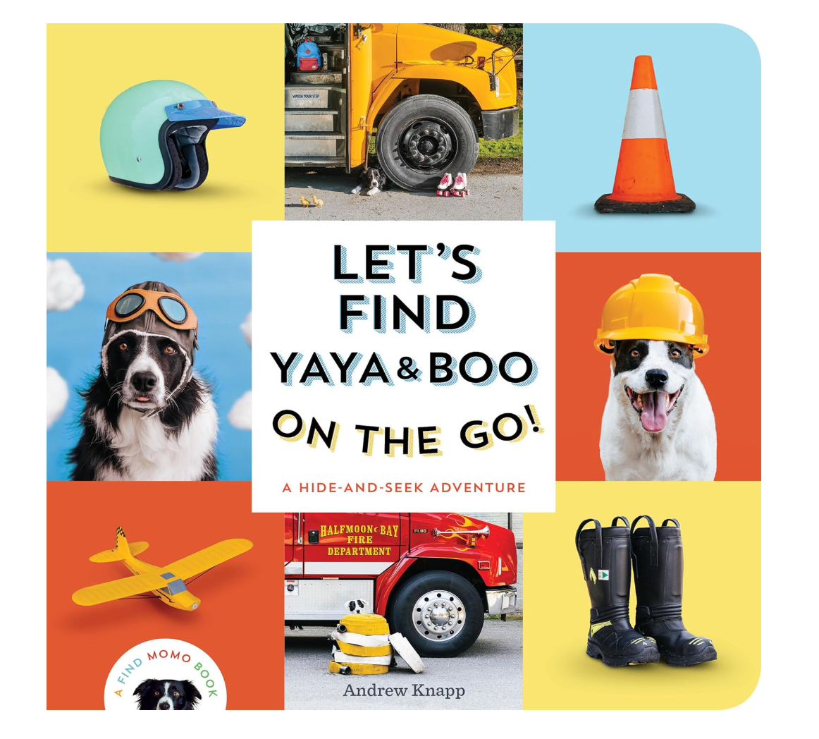 Book cover with images of a dog, construction helmet, traffic cone, airplane, and boots on a colorful background.