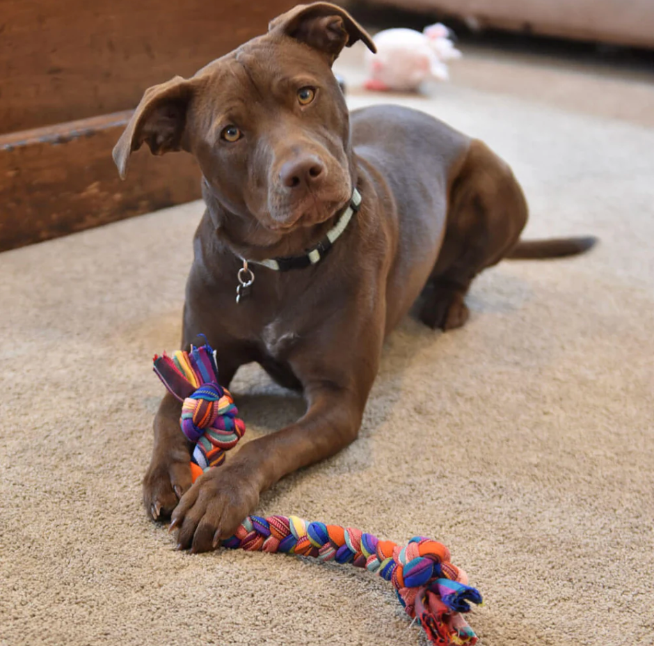 Hand Woven Dog Tug Toy