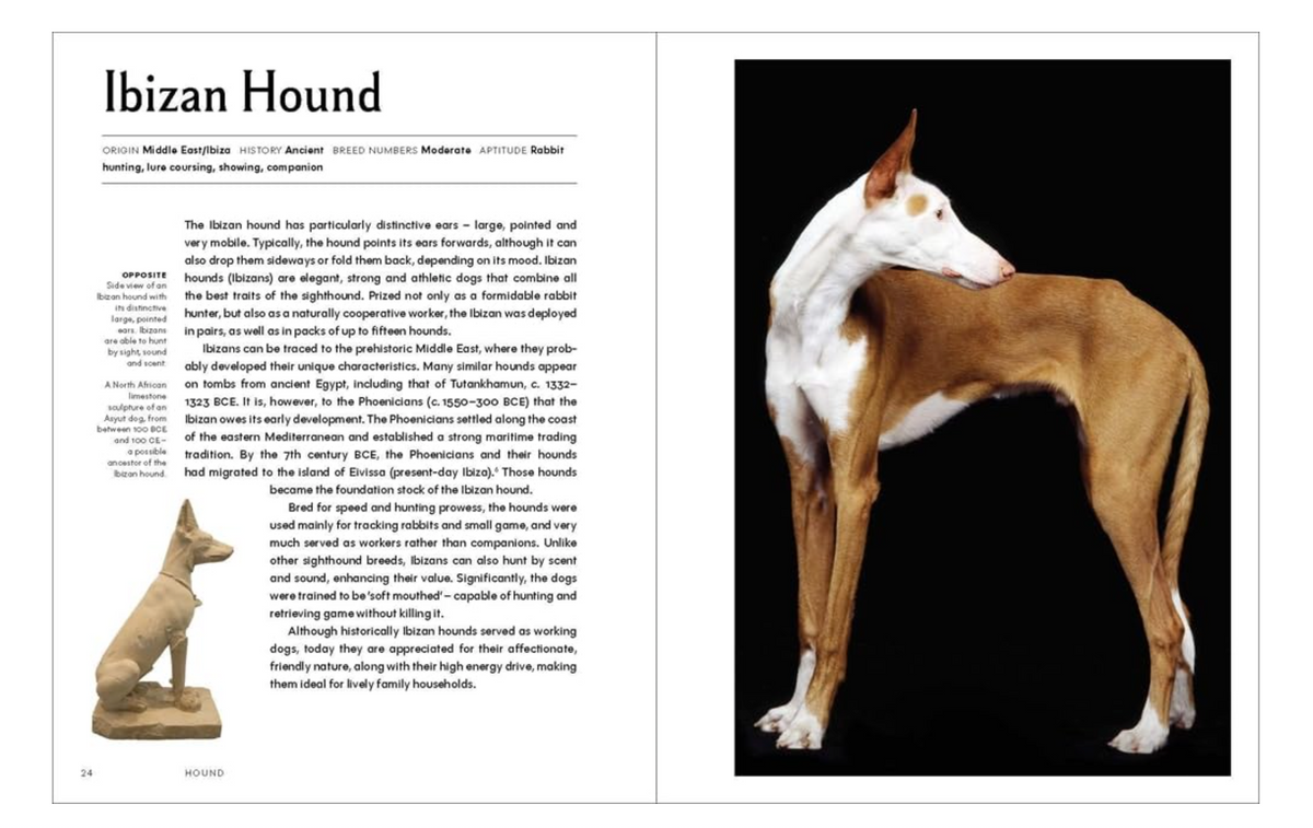 The Invention of the Dog: 75 Breeds that Changed the World