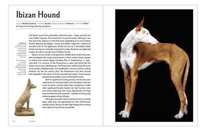 The Invention of the Dog: 75 Breeds that Changed the World