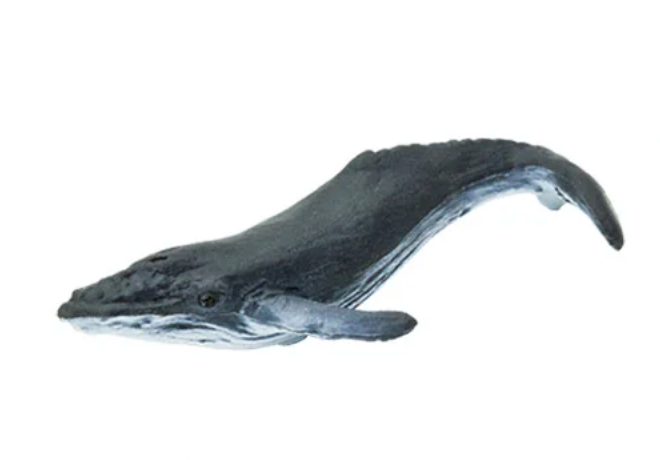 Mini Water Creatures
