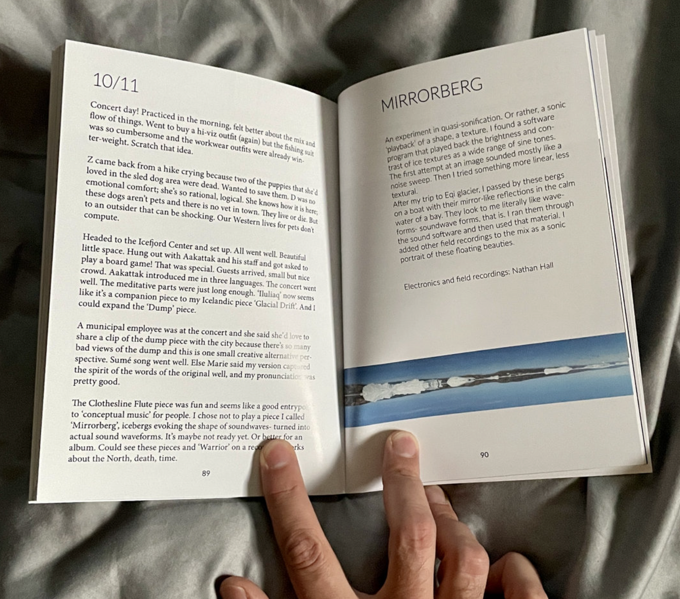 Greenland Diary
