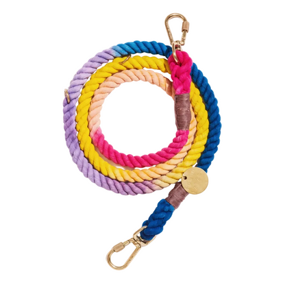 Colorful braided rope dog leash with a gold clasp on a white background