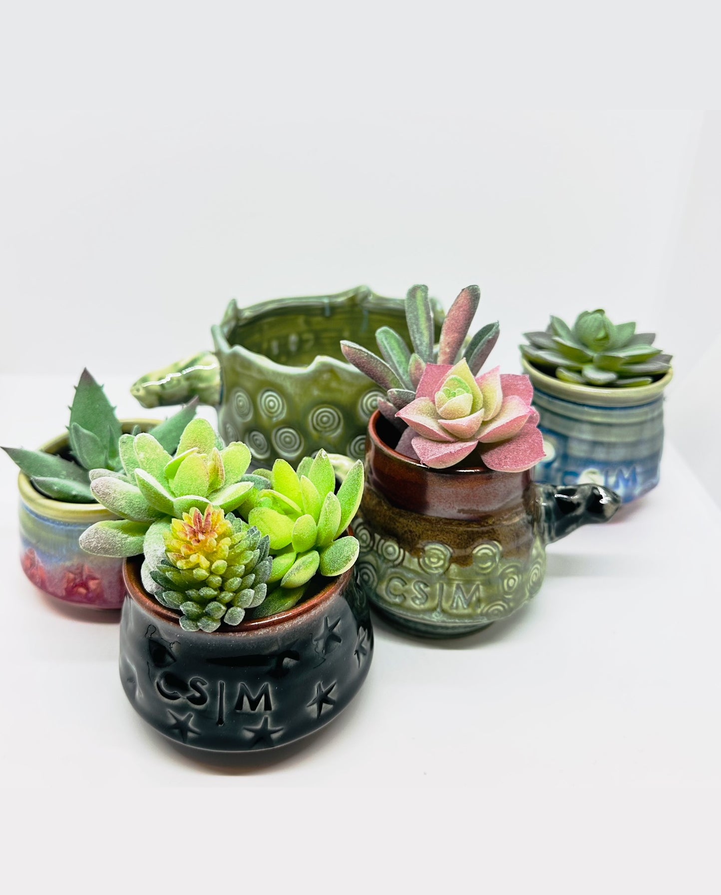 Five variants of handmade ‘Unique Planters’ holding succulents 