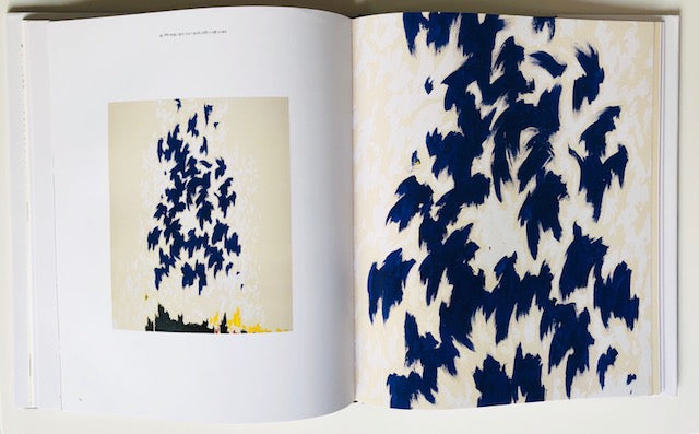 Open book showing a full abstract painting with dark blue fluttery shapes on the left and a closeup of the fluttery shapes on the page on the right