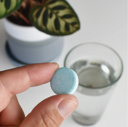 Close-up photo of the round blue plant food tablet